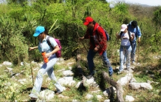 Rutas por la naturaleza